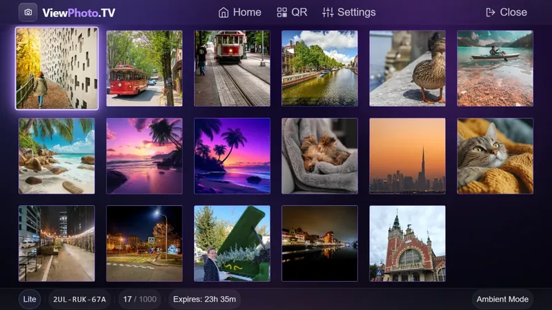 Full-screen viewer
